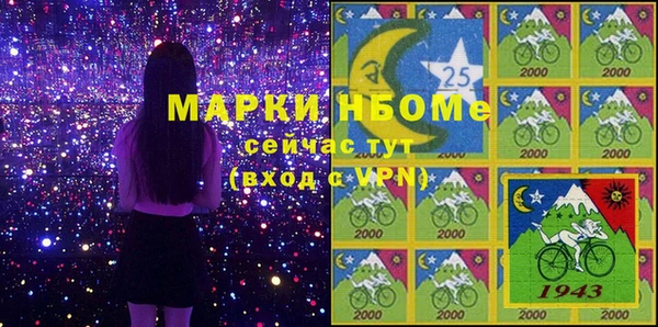 мдпв Богородицк