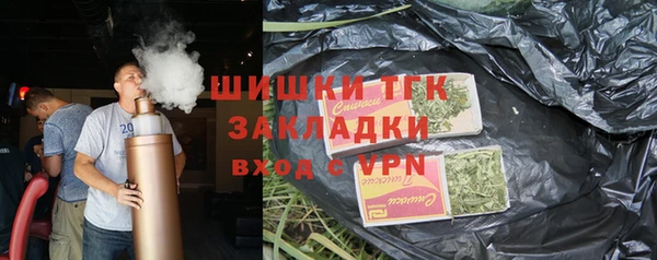 стаф Богородск