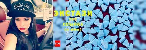 стаф Богородск