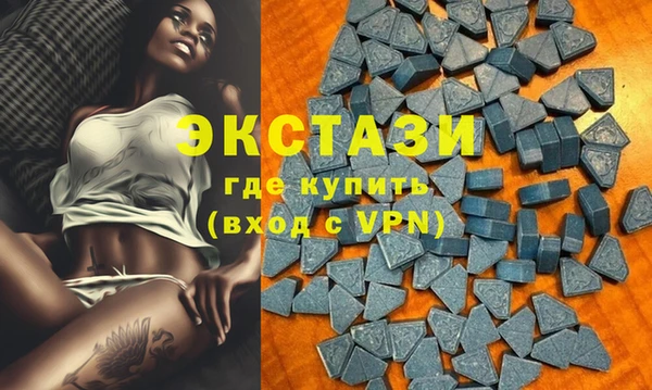 мдпв Богородицк