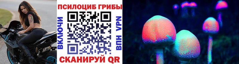 Псилоцибиновые грибы мицелий  купить наркоту  Шадринск 